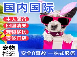 阿拉善空运代理国际宠物托运 【国